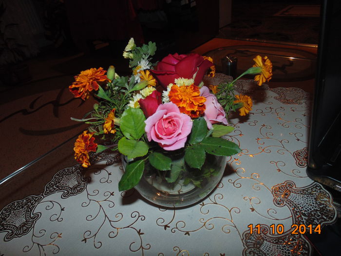 DSC05626 - Florile mele 2