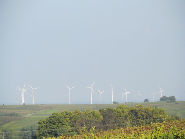  - Diverse 1 - Plimbari