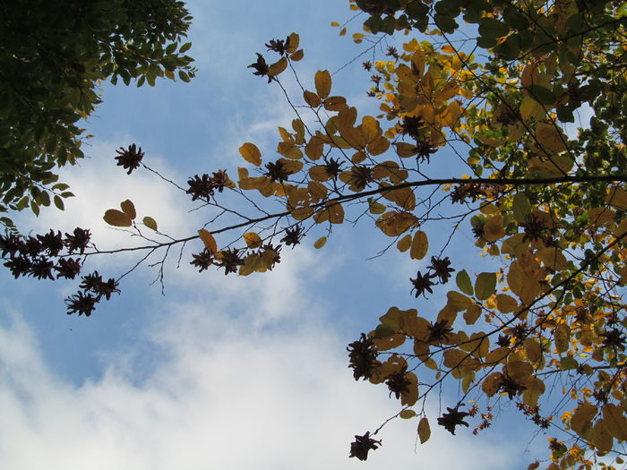  - Diverse 1 - Plimbari