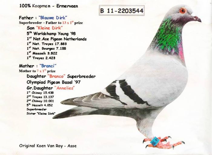 10257856_1404664269817366_2094087418288585154_n