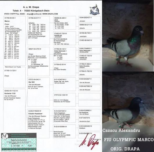 10256997_1452733441677115_2305681668154339906_n