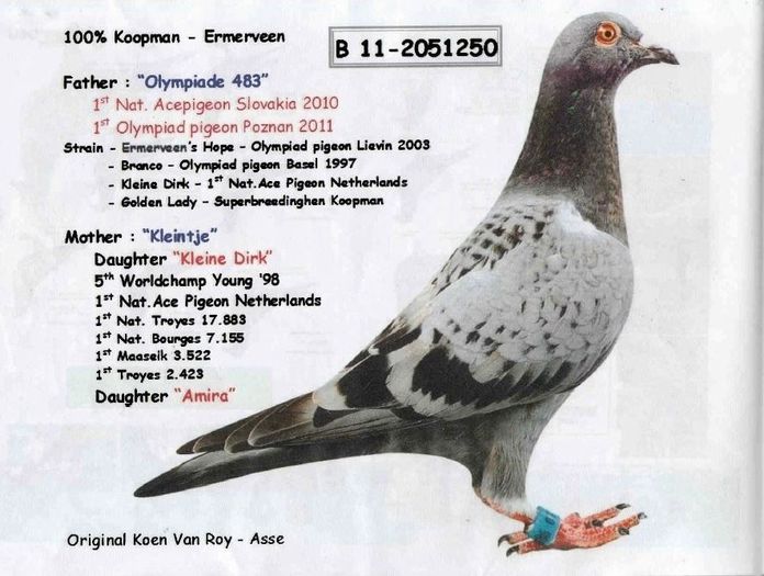 10290645_1404664199817373_4855282489326054231_n