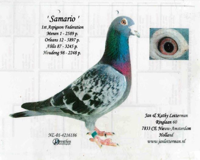 10295802_1404664326484027_2839966658459083794_n