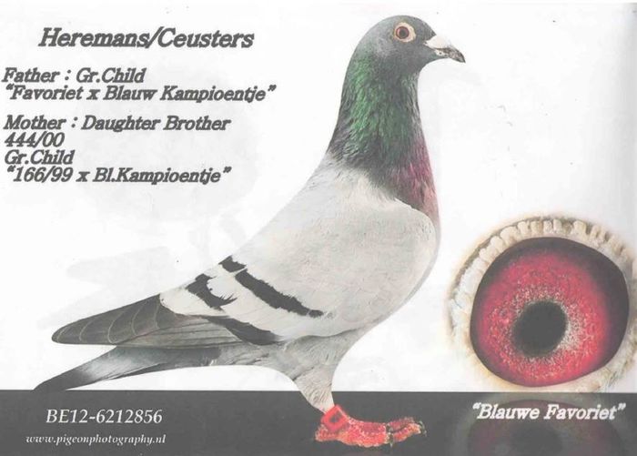 10338883_1404664319817361_4484182557236371098_n