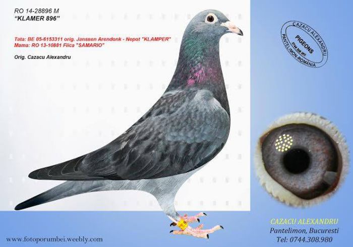 10347712_1498160063801119_1866737384797306685_n