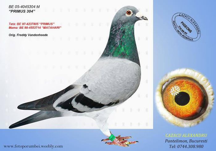 10636182_1498159887134470_4332998905100786345_n