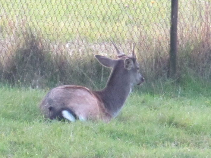  - Diverse 1 - Plimbari