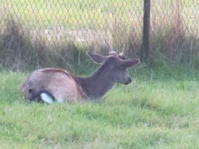  - Diverse 1 - Plimbari