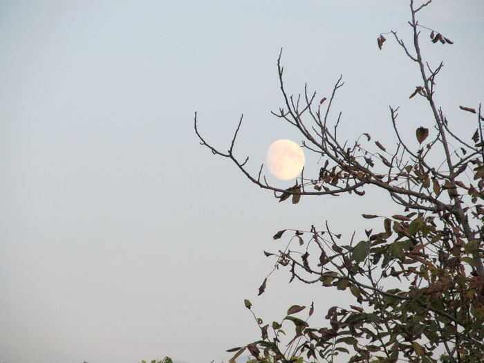  - Diverse 1 - Plimbari