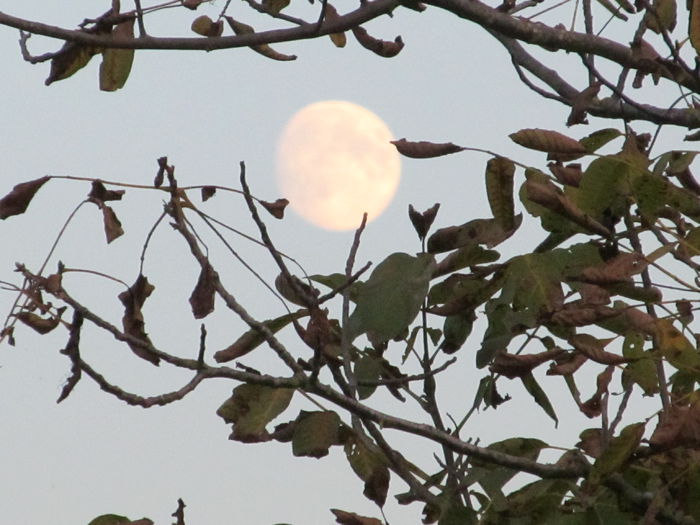  - Diverse 1 - Plimbari