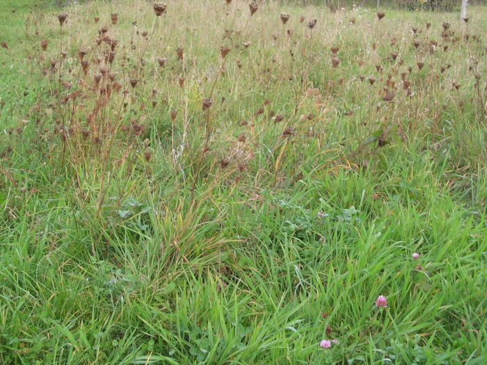  - Diverse 1 - Plimbari