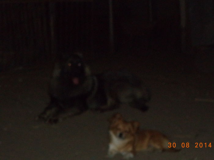 DSC01840 - FAMILIA MEA