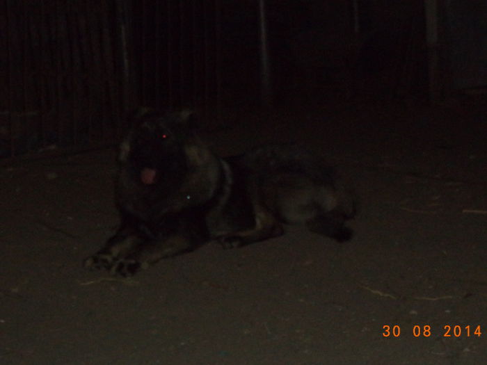 DSC01841 - FAMILIA MEA