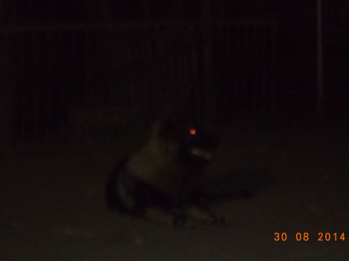 DSC01847 - FAMILIA MEA