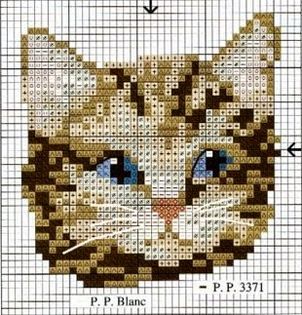 schema gattino a punto croce (5)