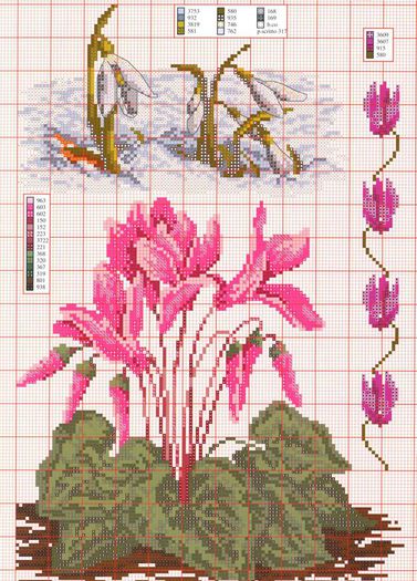 9885_258448387626559_2078386059_n