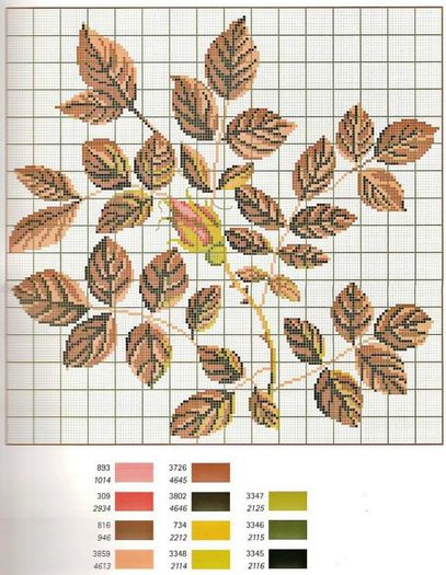 249024_257996424338422_386111512_n