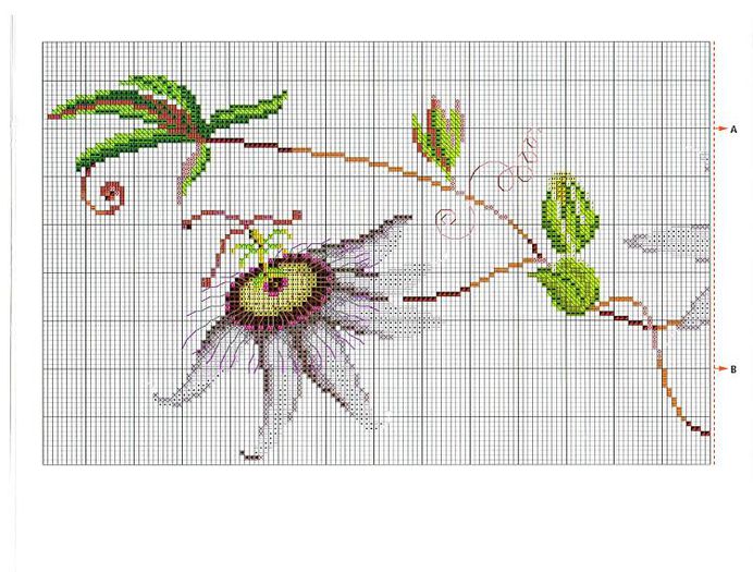 292646_258854787585919_1301971063_n