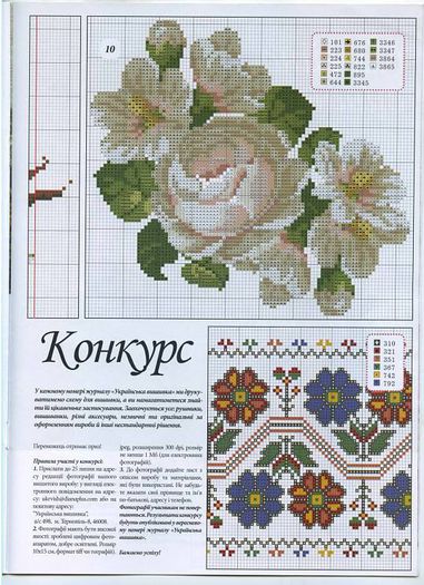 379740_255624814575583_555455888_n