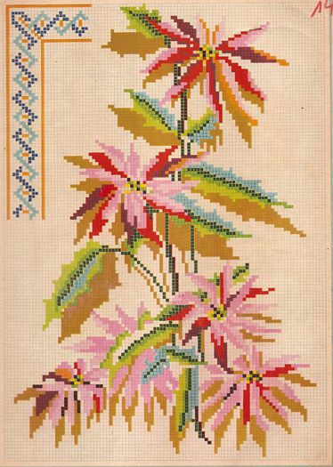 425272_257997831004948_634685829_n