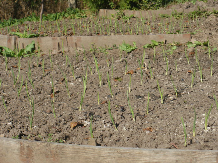  - Frumoasa toamna tarzie 2014