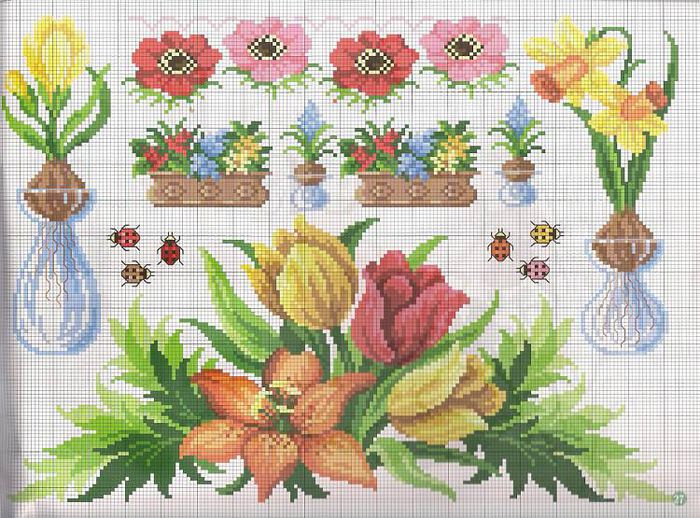 482459_255628344575230_1248321197_n