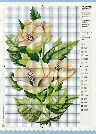 541631_252016191603112_1711784918_n