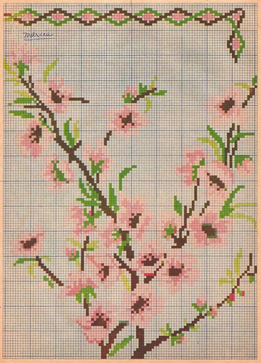 922900_257997641004967_1019710241_n