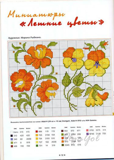 934664_258448877626510_1026135400_n