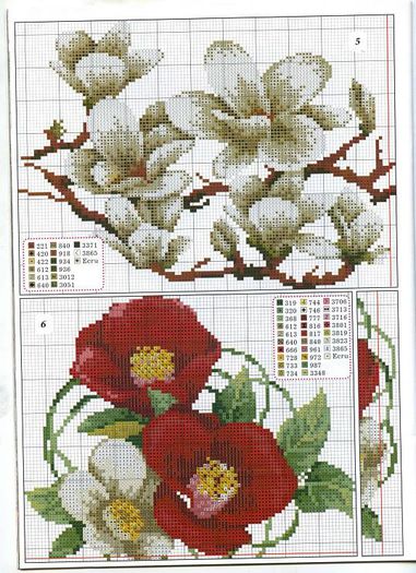 969488_255624784575586_1668199168_n