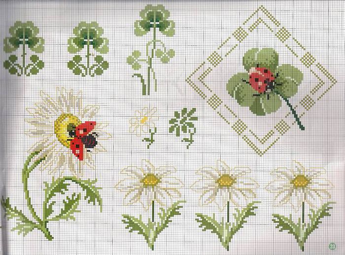 970145_255627644575300_2064490130_n