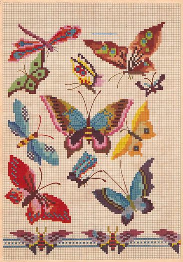 970462_257998114338253_307554651_n