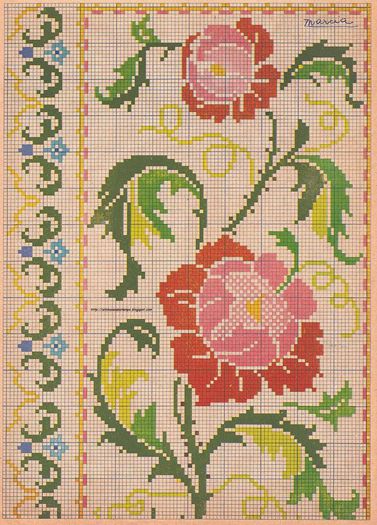 971047_257997621004969_1007088937_n