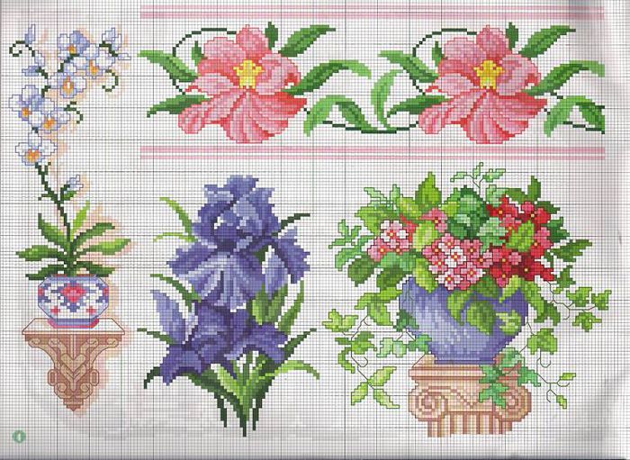 971214_255627074575357_1300299257_n