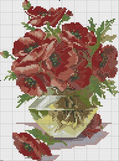 971417_257998577671540_236111437_n