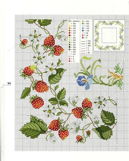 1003963_269148353223229_144517819_n