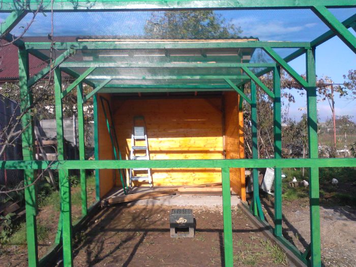 IMG_20141018_103452 - 01 Cum faci o cusca pentru porumbei