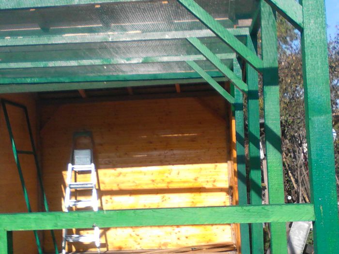 IMG_20141018_103531 - 01 Cum faci o cusca pentru porumbei