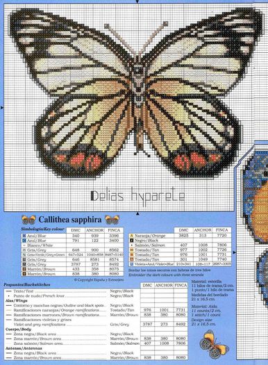 adffd3a0c345d419a949d1e17fb94531 - cusaturi 25