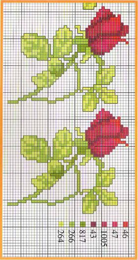 bordovye-rozy - cusaturi 25