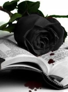 2165 - Trandafirul negru