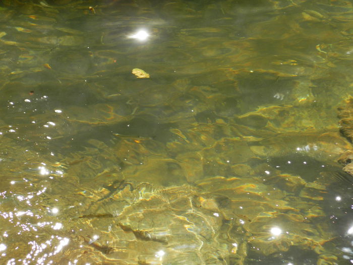 DSCN0141