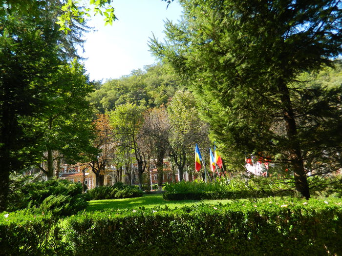DSCN0152