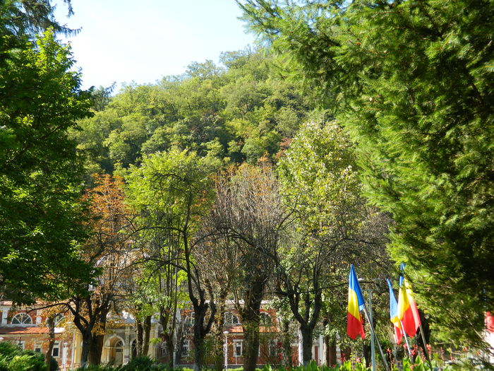 DSCN0153