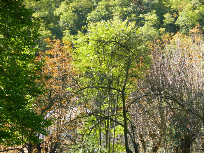 DSCN0154
