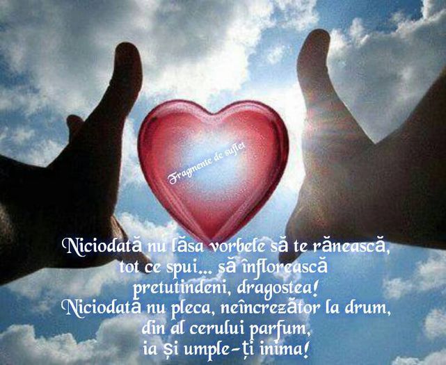 10384840_769983043053421_3098515976091004501_n