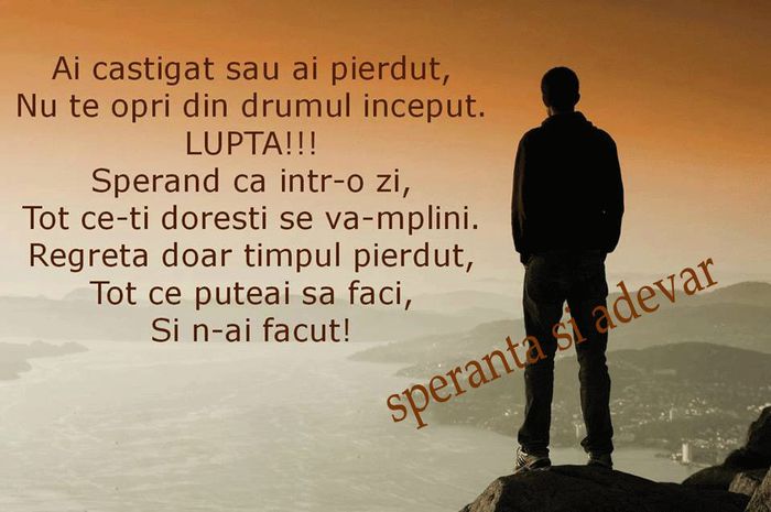 1604483_427136907471378_159595547096713750_n