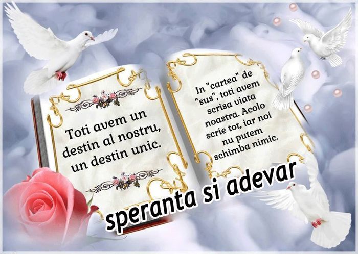 1959502_427141720804230_3540371885464941927_n