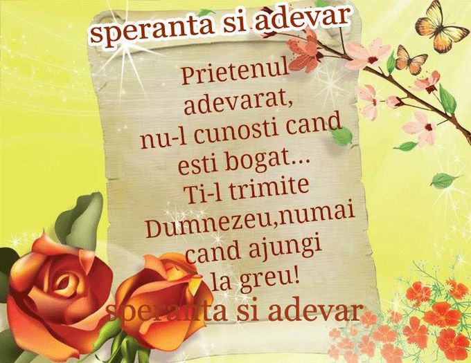 10269370_427139760804426_6069864521745272847_n