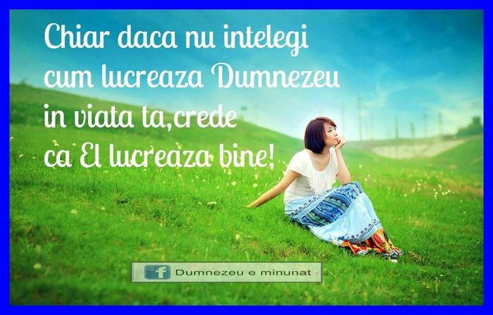 10150718_439303226214881_224168681_n